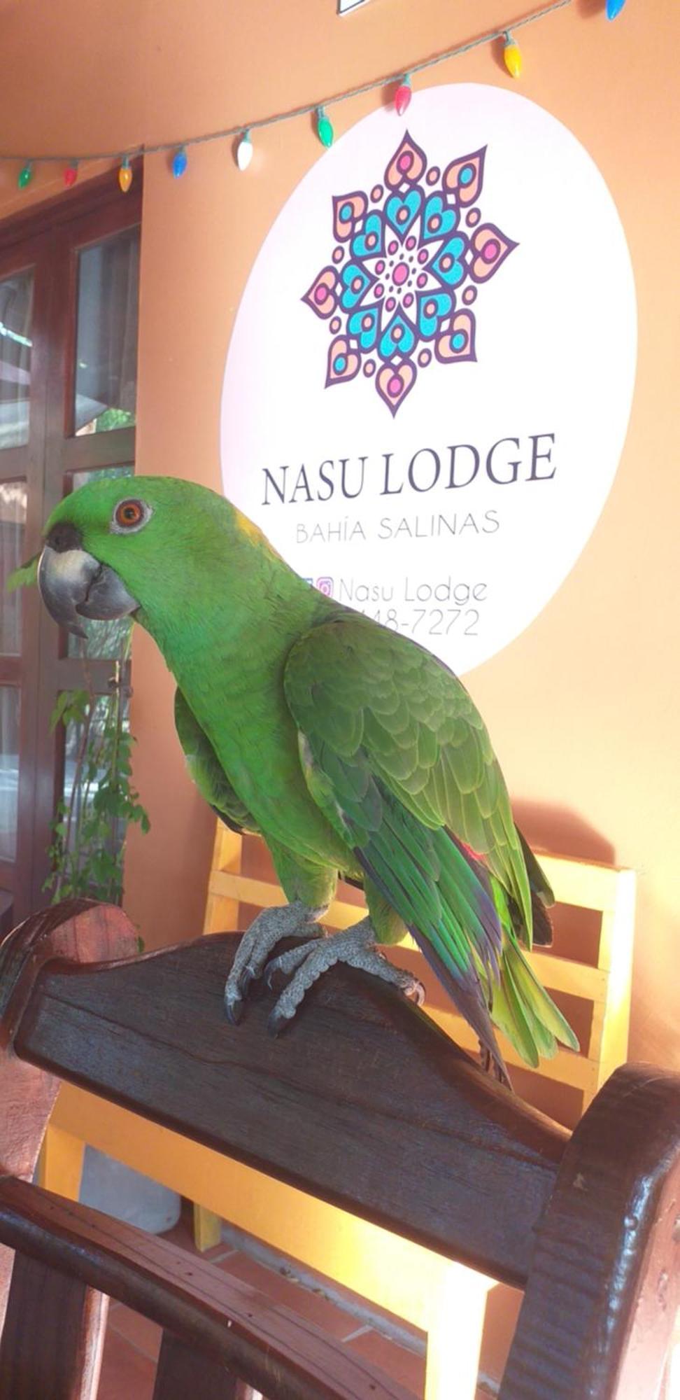 Nasu Lodge La Cruz  Zewnętrze zdjęcie